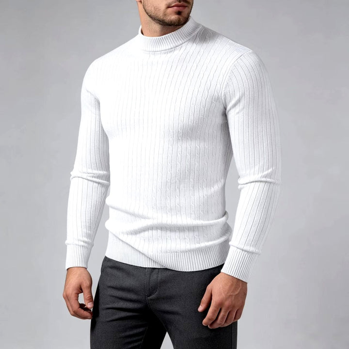 Paulo - Men's Ribbed Mock Neck Knit Sweater 2